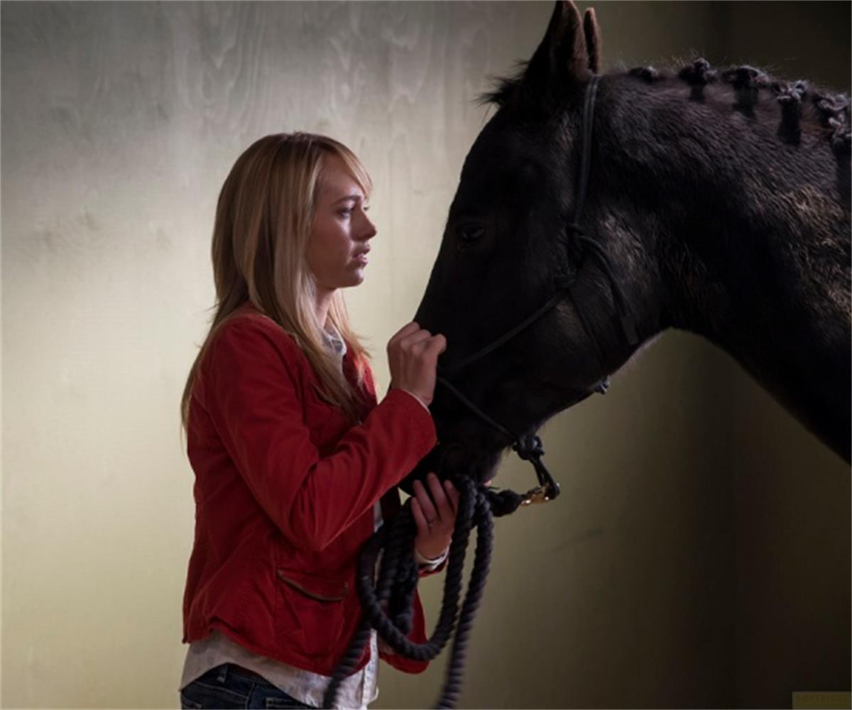 Una donna in giacca rossa accarezza un cavallo nero con criniera intrecciata.