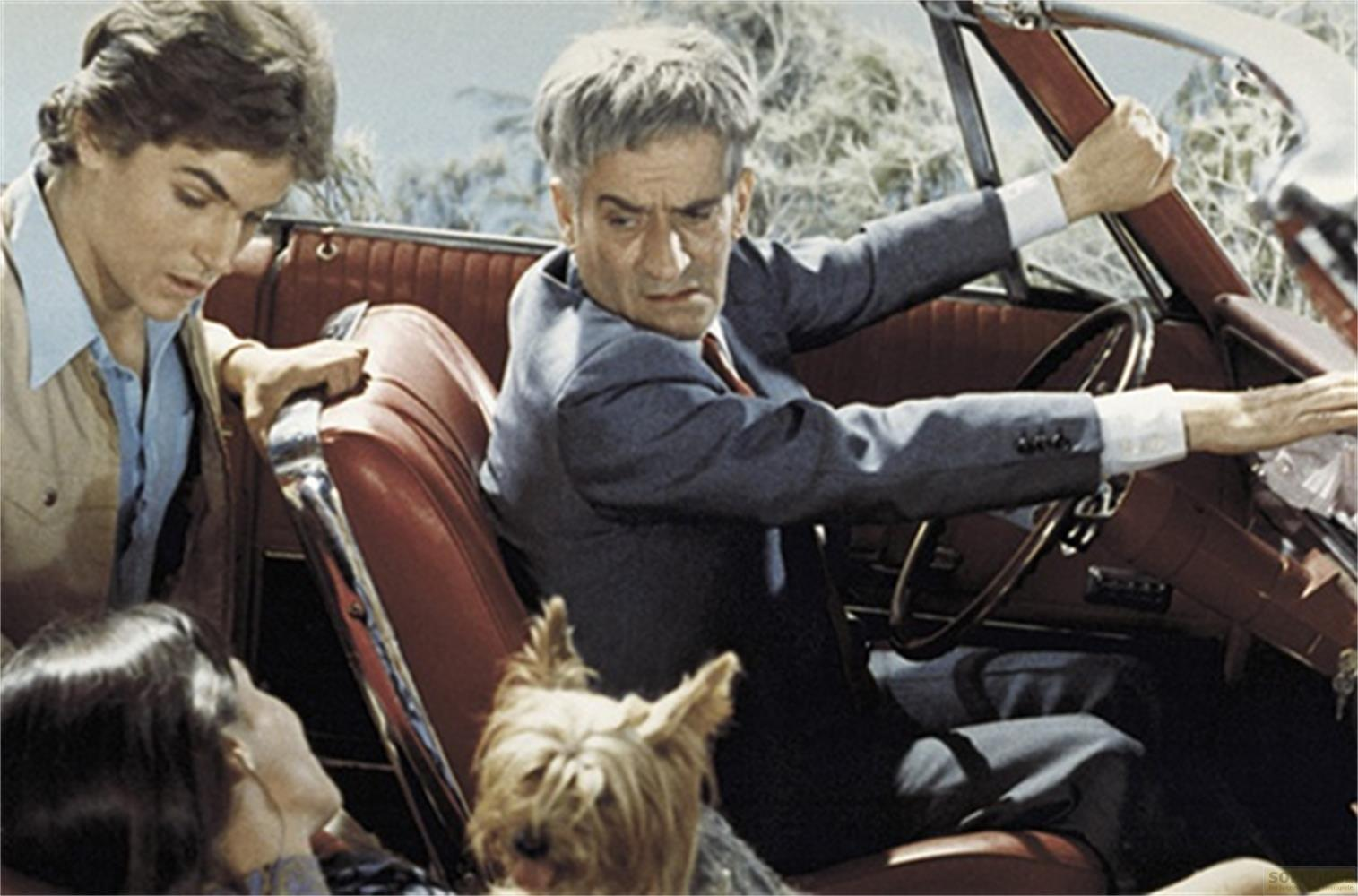 Uomo in giacca guida cabriolet con due passeggeri e cane.