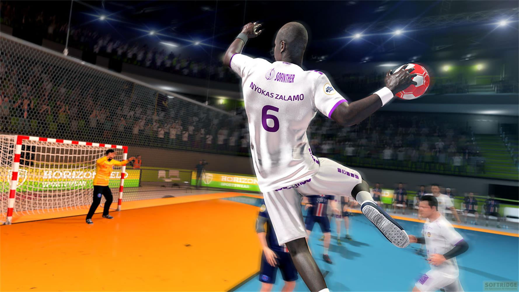 Handballspieler im Sprung mit Ball, Torwart im Tor, Zuschauer im Hintergrund.
