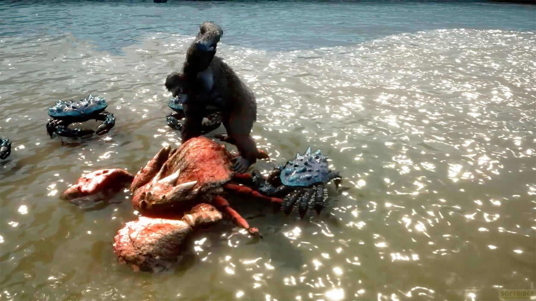 Ein Gorilla kämpft mit zwei großen Krabben im flachen Wasser.