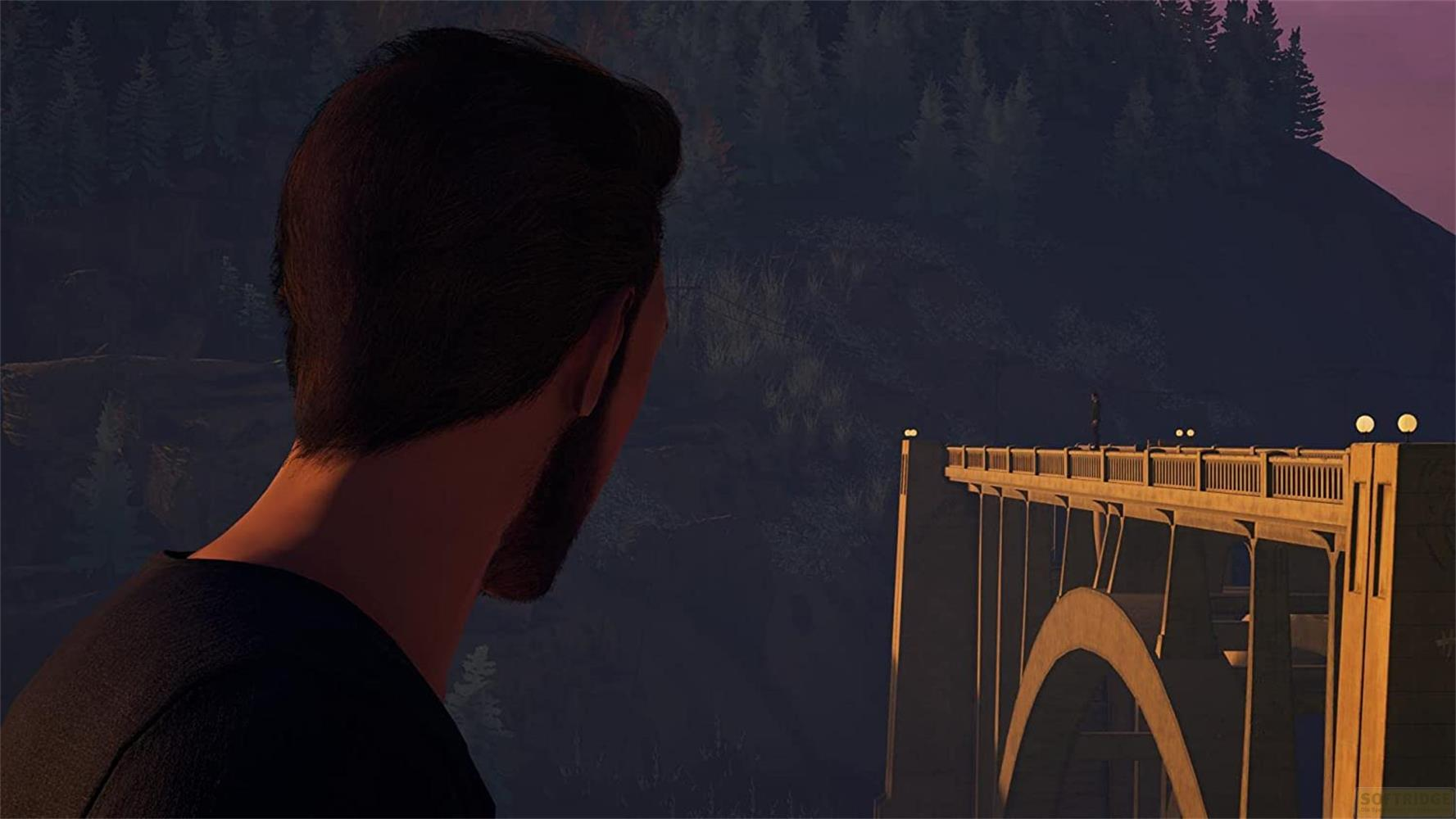Mann blickt auf eine Brücke bei Nacht. Bäume im Hintergrund.
