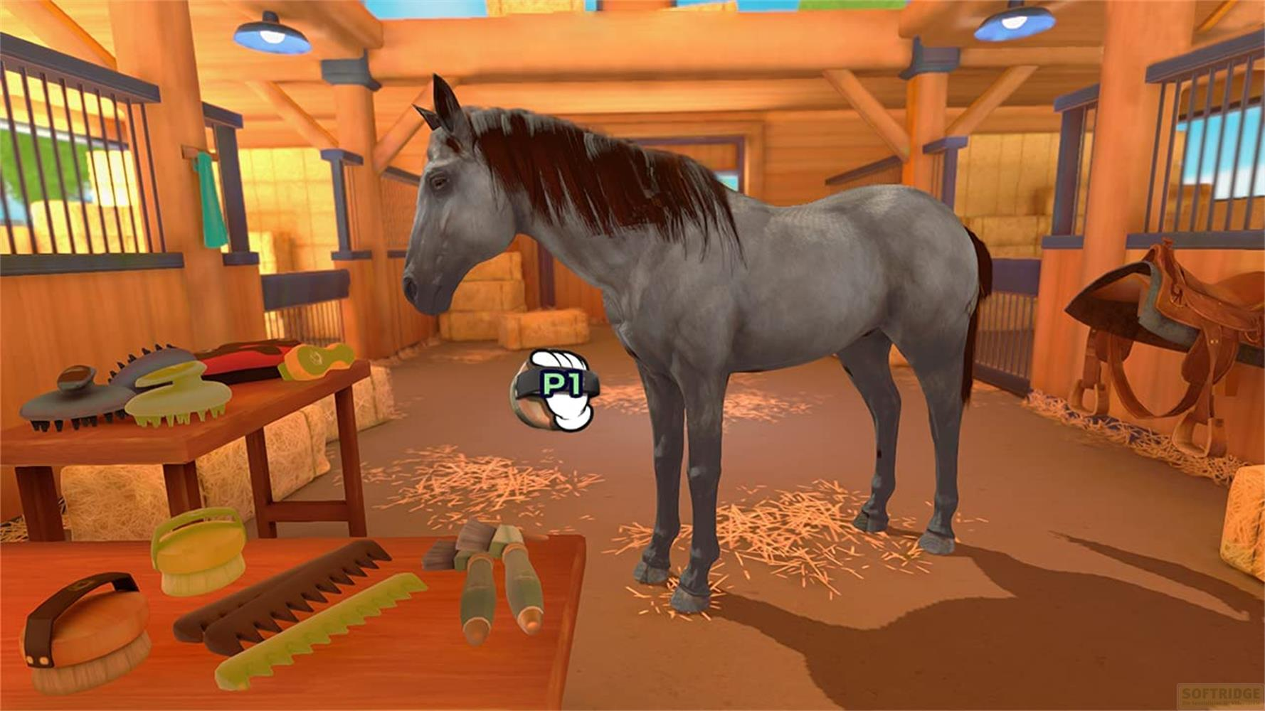 Un cheval gris dans une écurie avec des brosses et peignes.