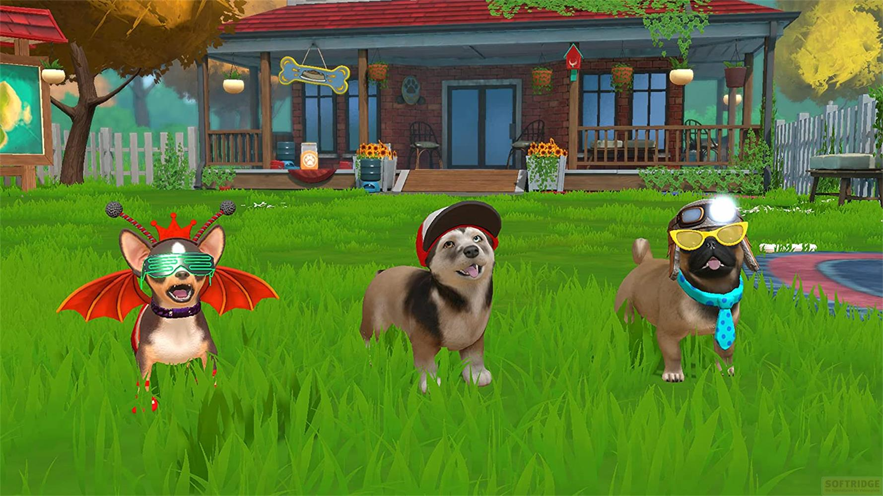 Drei Hunde mit Kostümen stehen im Gras vor einem Haus.