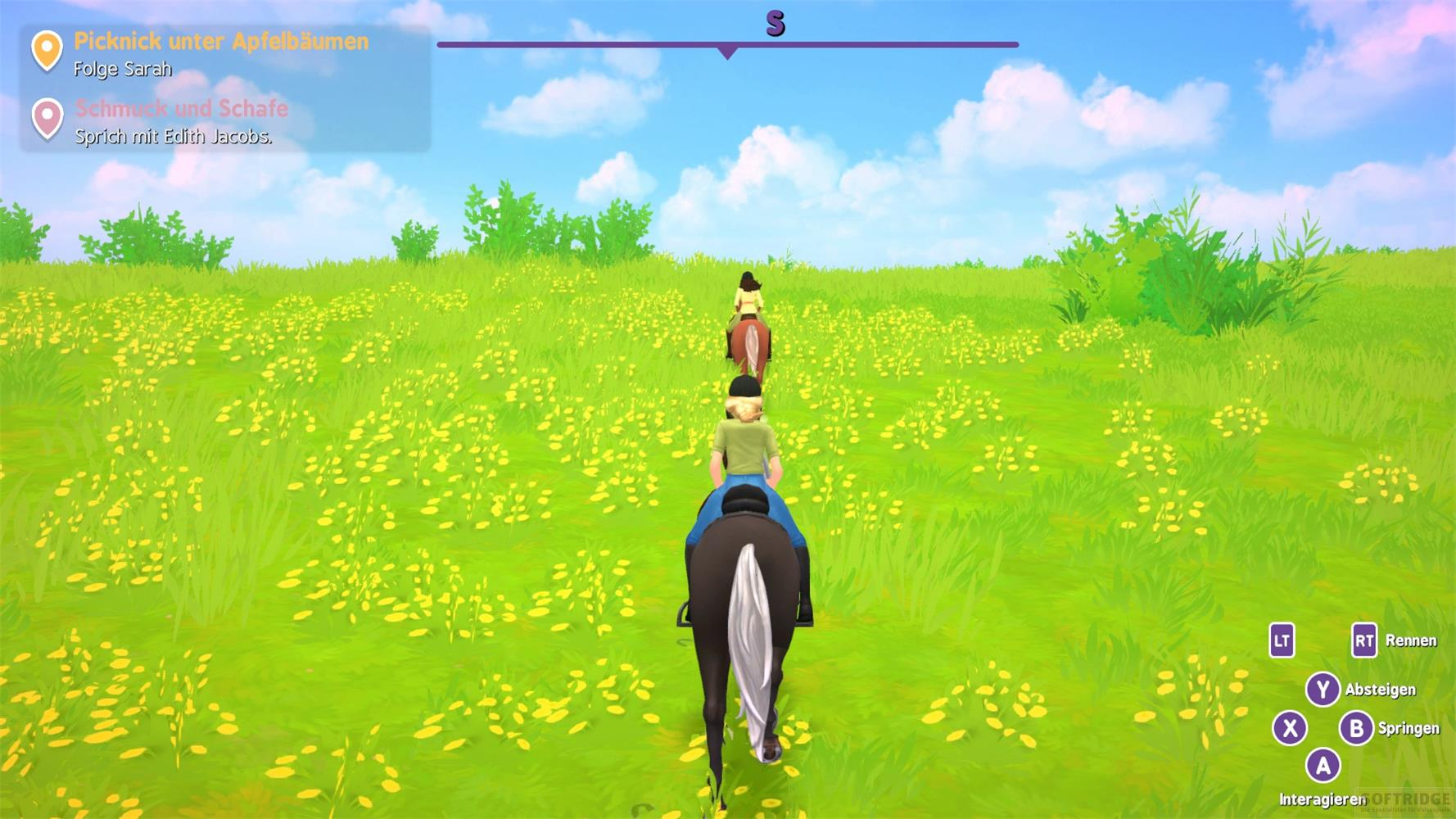 Drei Reiterinnen auf Pferden reiten durch eine grüne Wiese mit gelben Blumen.