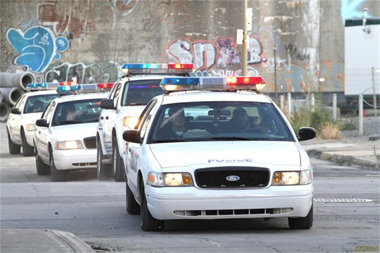 Diverse auto della polizia bianche con luci lampeggianti guidano su una strada davanti a un muro con graffiti.