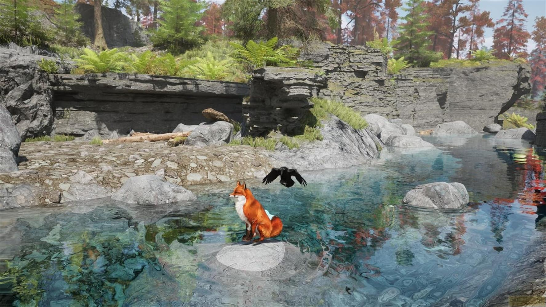 Una volpe seduta su una roccia nell'acqua, un uccello vola sopra.