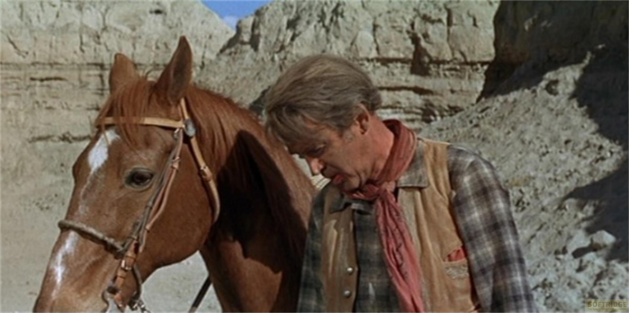 Un uomo in camicia a quadri e gilet sta accanto a un cavallo.
