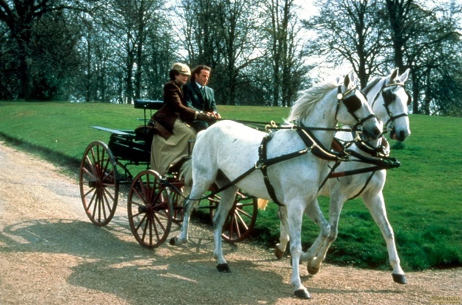 Due cavalli bianchi trainano una carrozza con due persone su un sentiero sterrato.