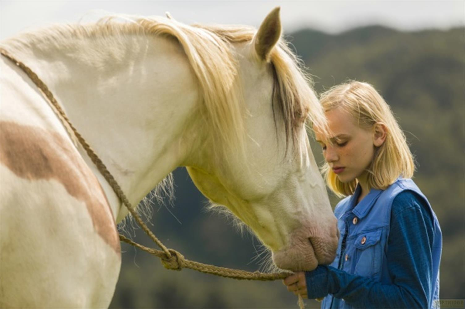 Una ragazza tocca delicatamente il muso di un cavallo bianco con macchie marroni.