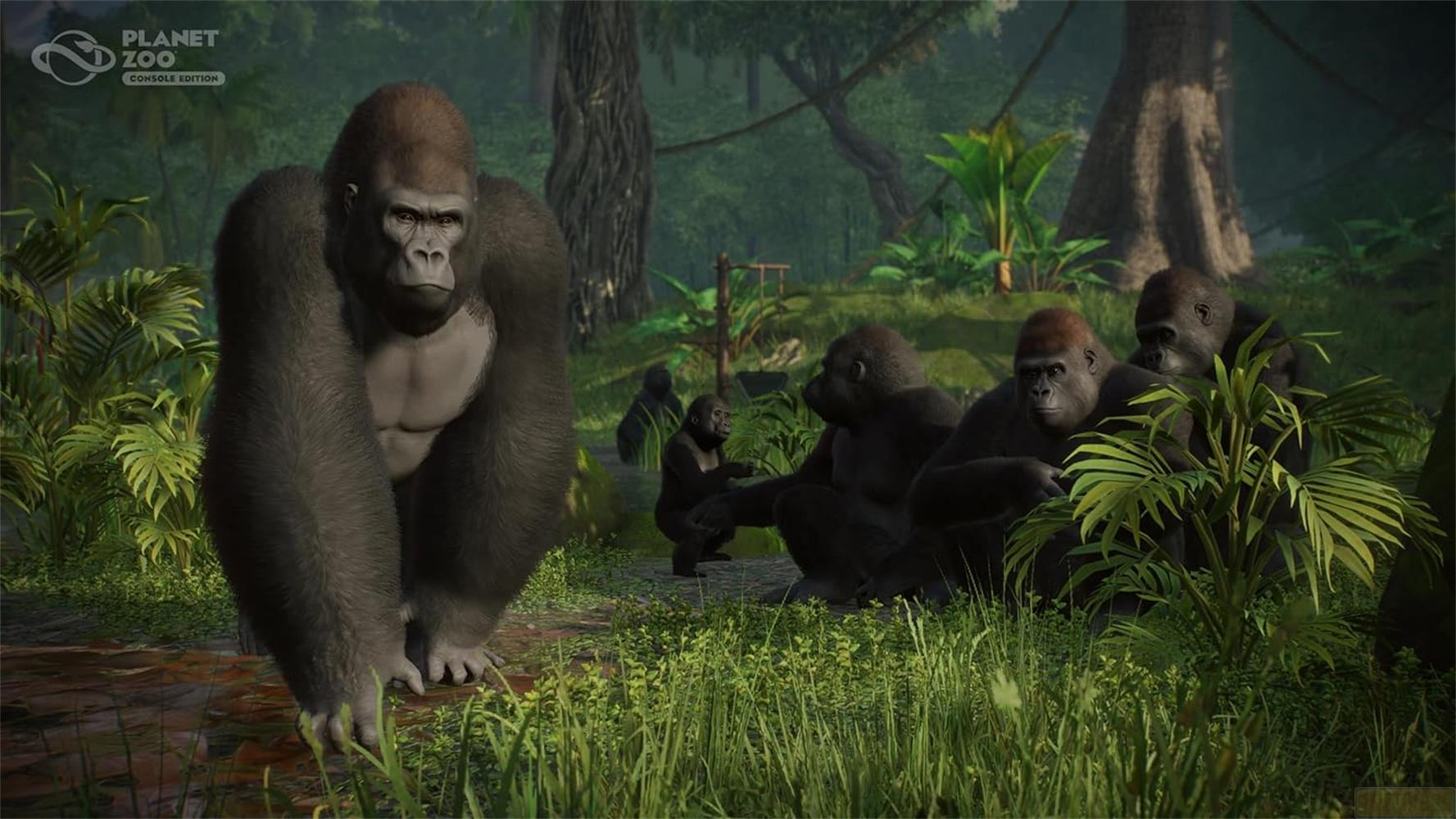 Gorillas in einem üppigen, grünen Dschungel mit üppigem Grün und Bäumen.