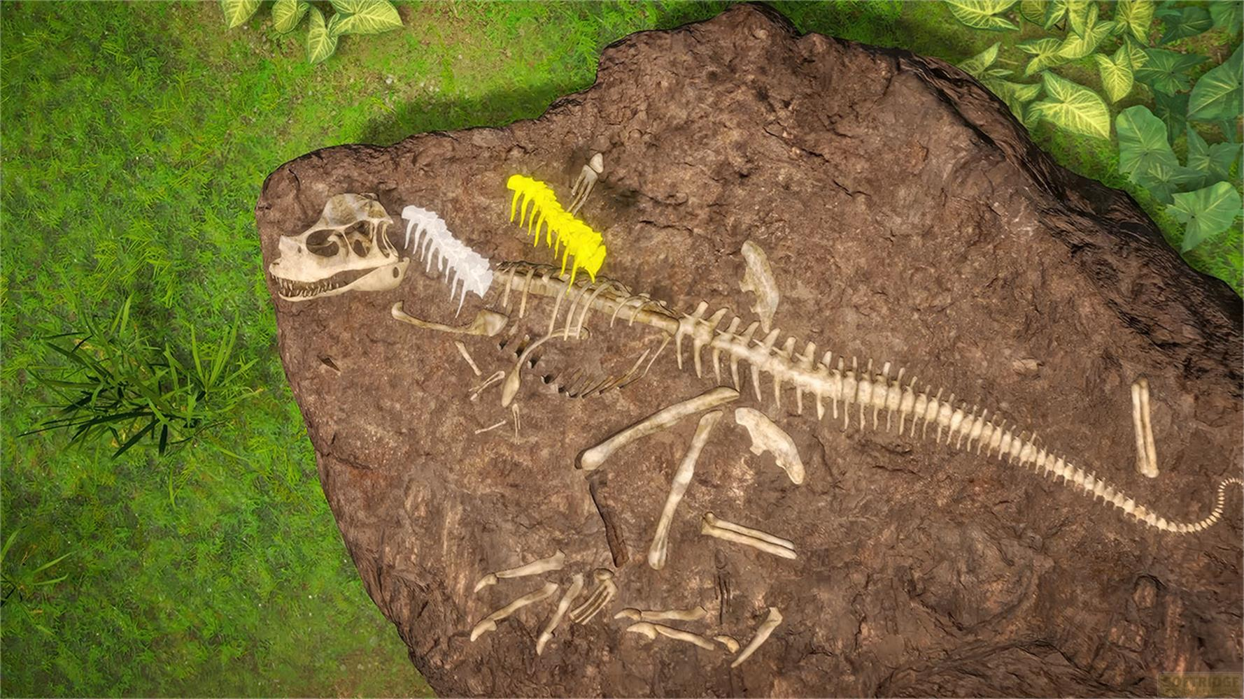 Dinosaurierskelett mit gelbem Rückgrat auf Felsen, umgeben von Gras und Blättern.