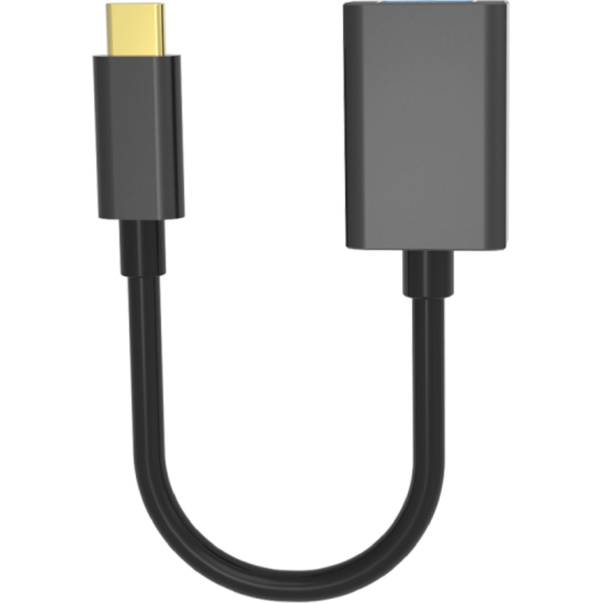 Un cavo USB-C nero con connettore dorato su un'estremità e un adattatore sull'altra.