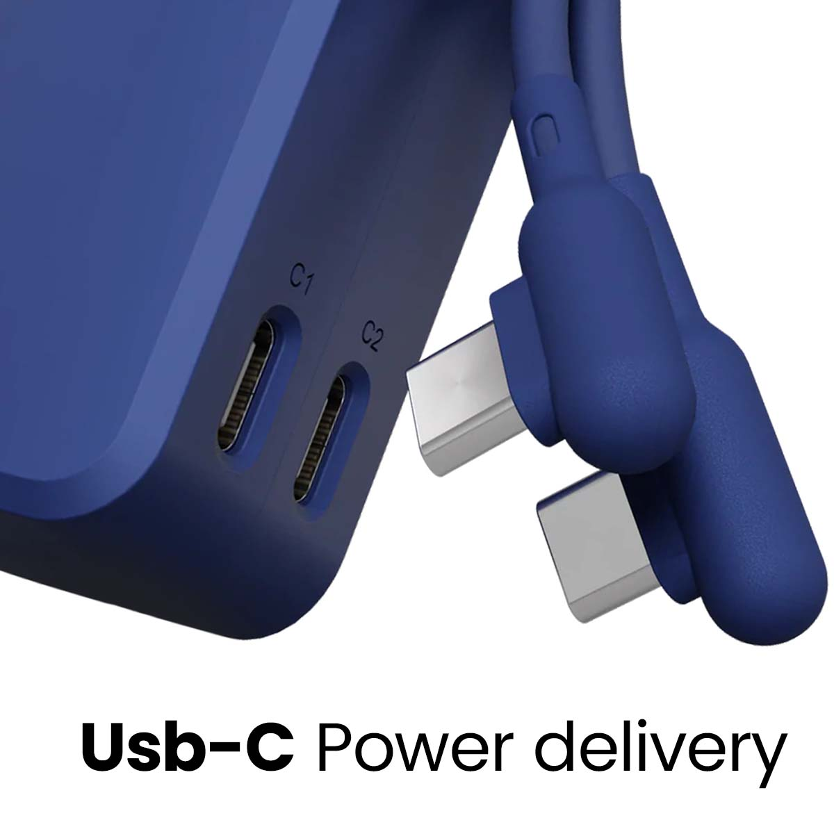 Caricatore USB-C blu con due porte e due cavi USB-C.