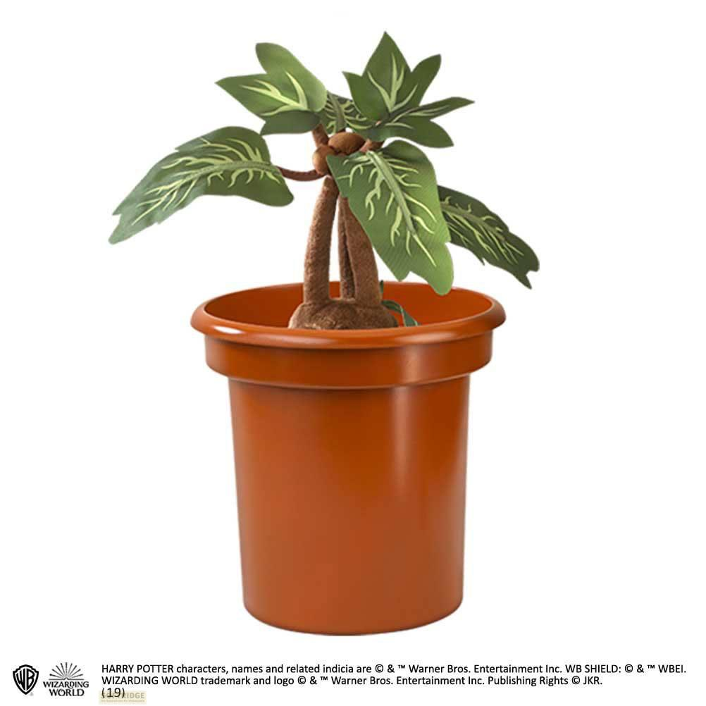 Una planta verde con tallos marrones en una maceta naranja.