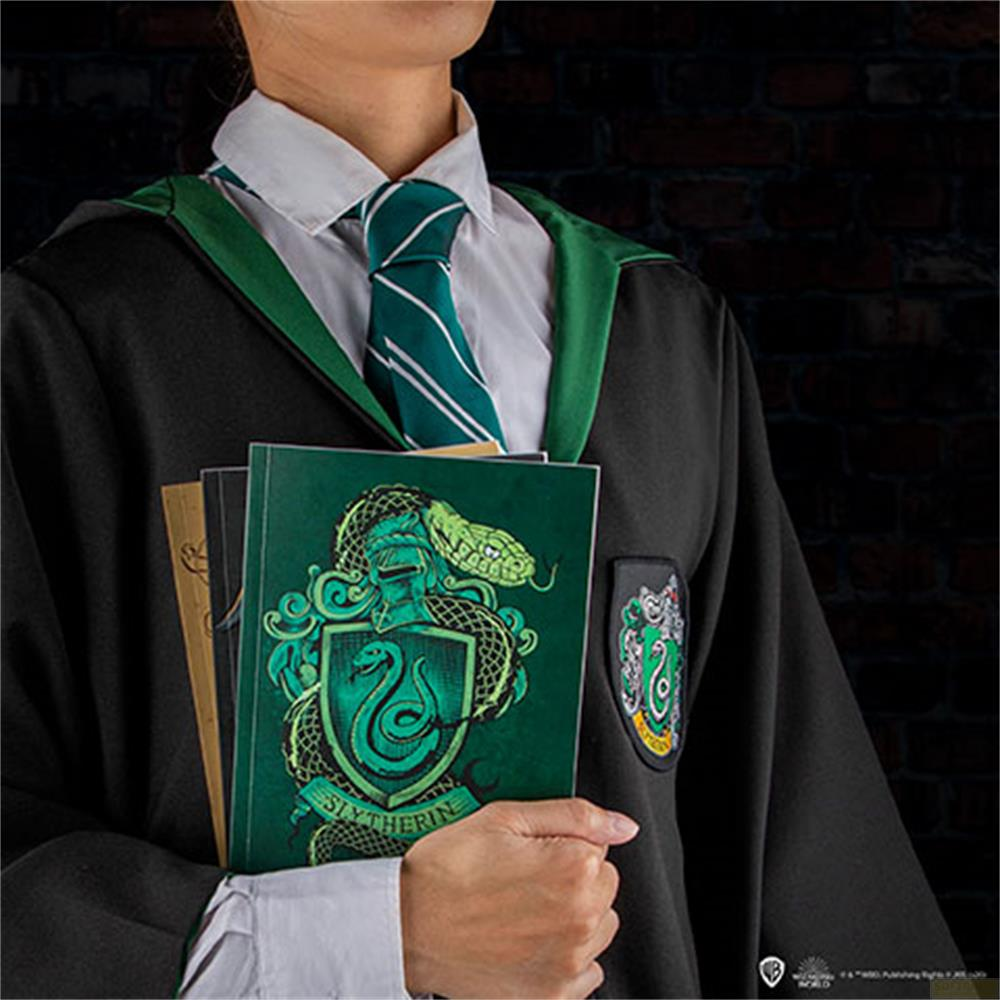 Eine Person trägt einen schwarzen Umhang mit grünen Akzenten und hält ein Buch mit Slytherin-Emblem.