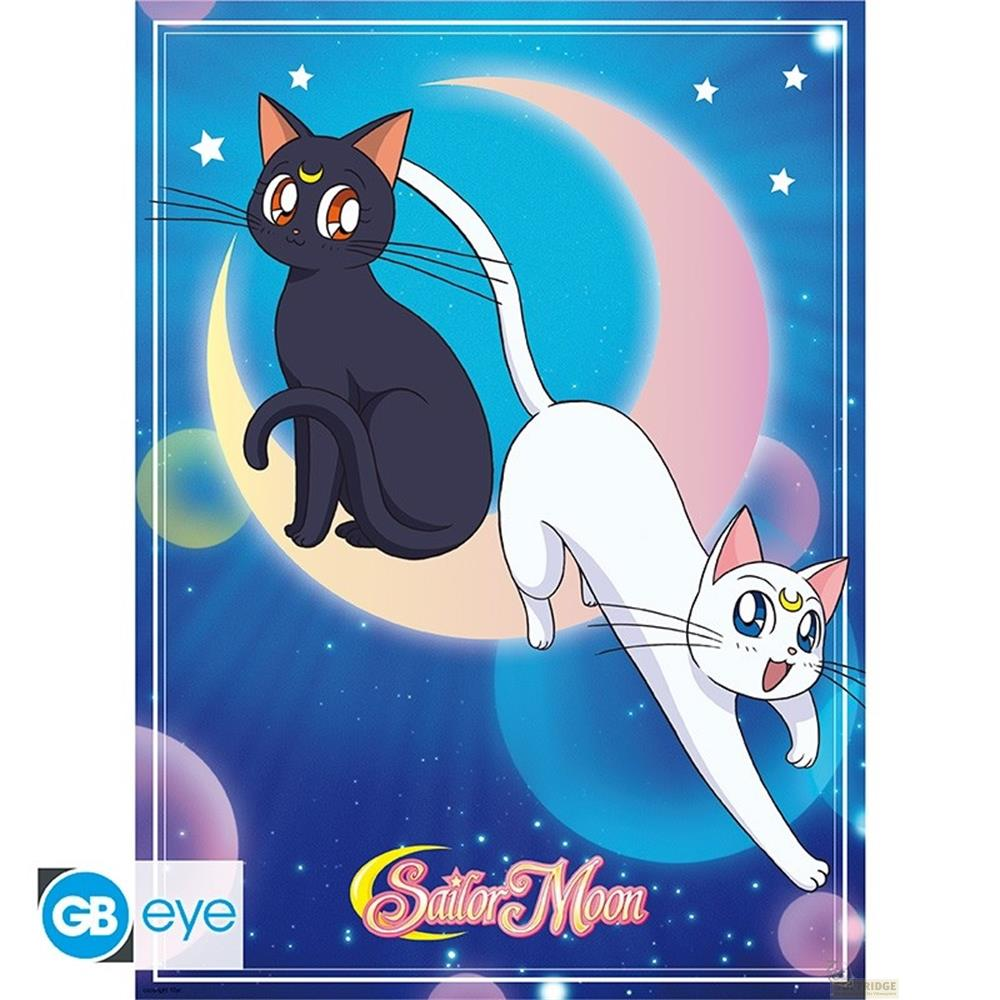 Dos gatos, uno negro y otro blanco, frente a una luna y cielo estrellado.