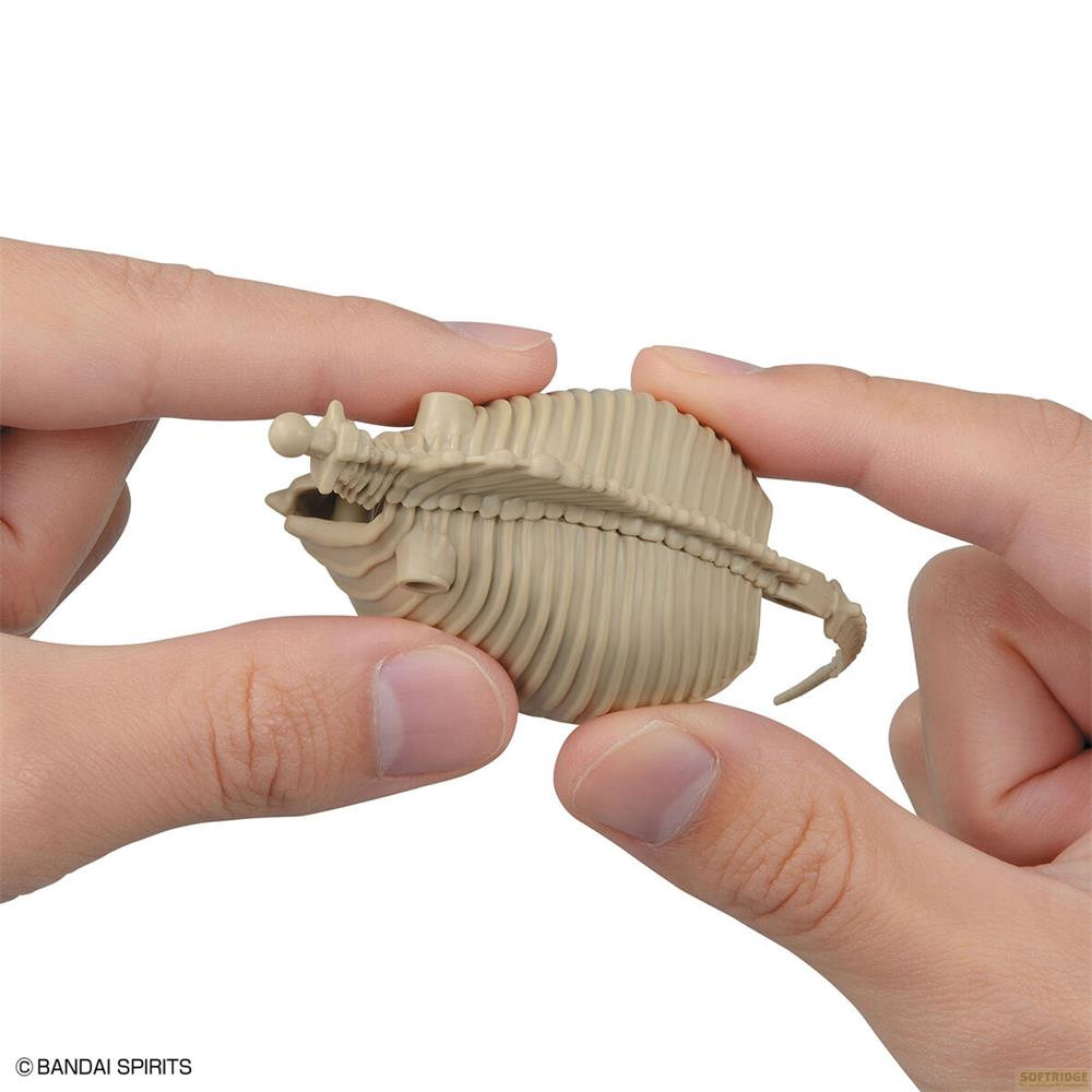 Deux mains tiennent un modèle de squelette de poisson beige.