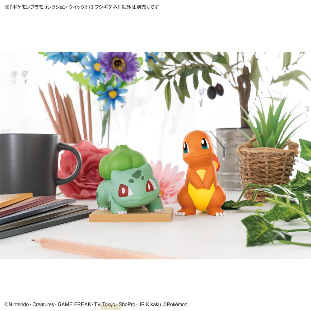 Figurines de Bulbizarre et Salamèche côte à côte sur une table.