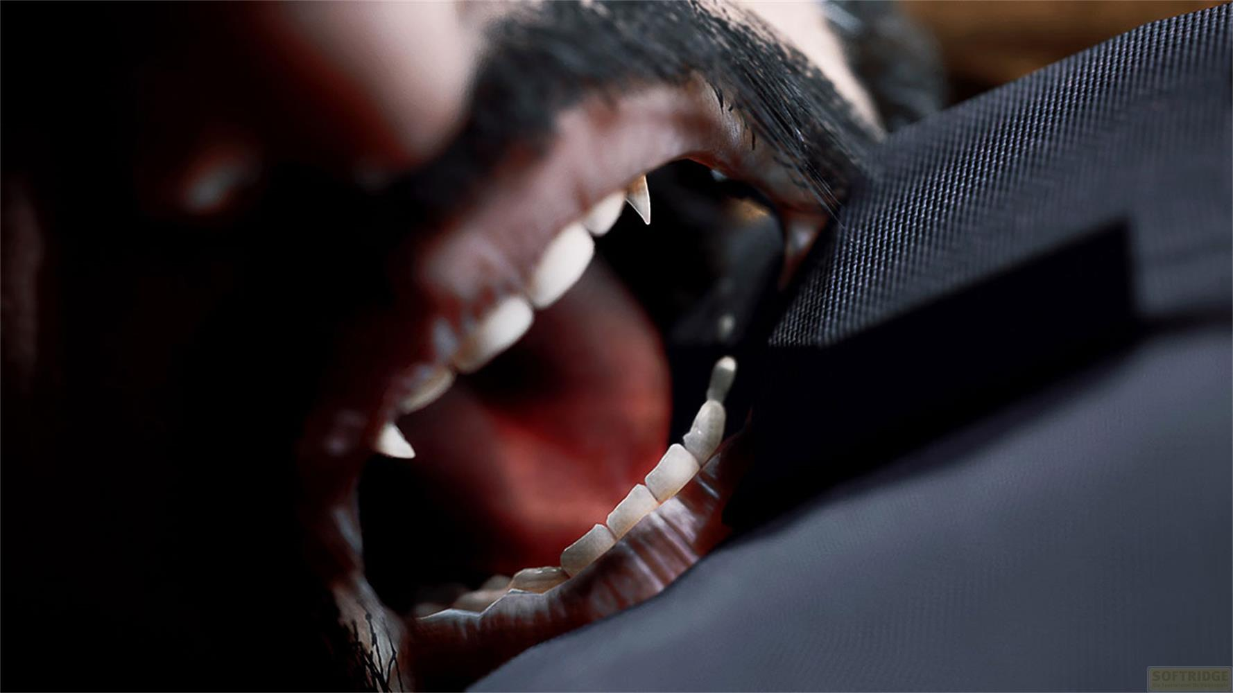 Gros plan de la gueule ouverte d'un chien, montrant des dents pointues.