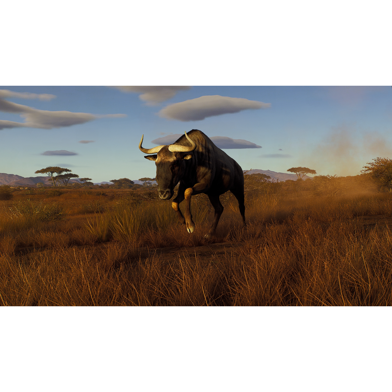 Ein Gnu in einer Savanne bei Sonnenuntergang, Staub aufwirbelnd.