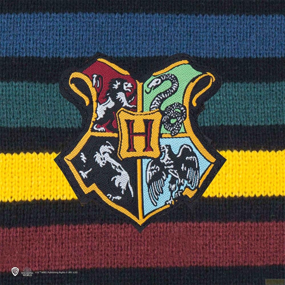 Hogwarts-Wappen mit Löwe, Schlange, Dachs und Adler auf gestreiftem Hintergrund.
