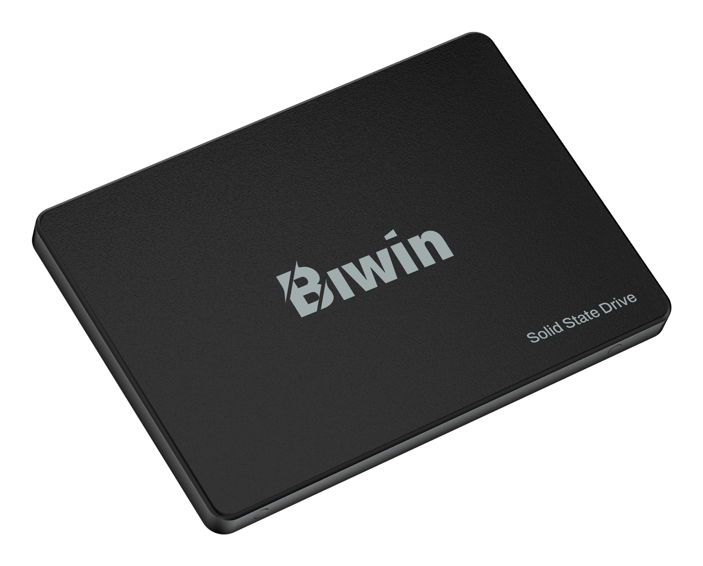 SSD nera con logo Biwin argento e testo 'Solid State Drive'.