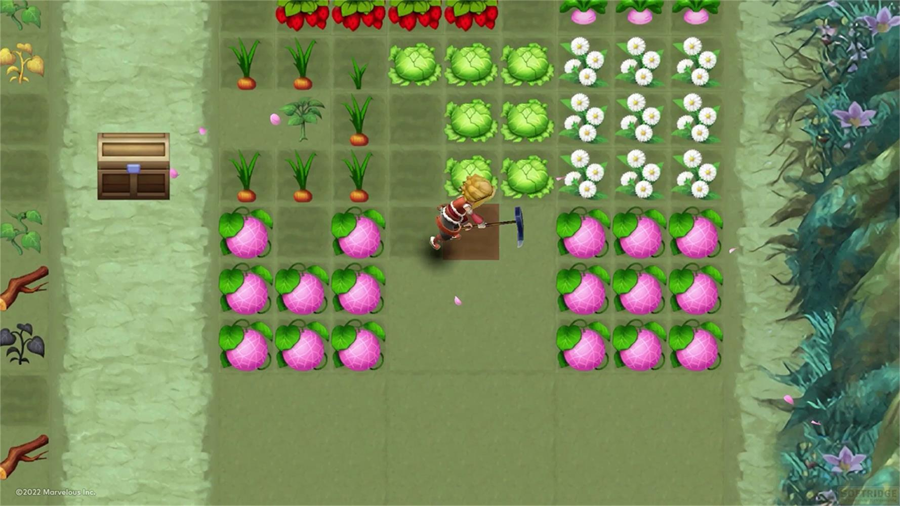Ein Charakter hackt im Garten auf einem Feld mit rosa Früchten und Karotten.