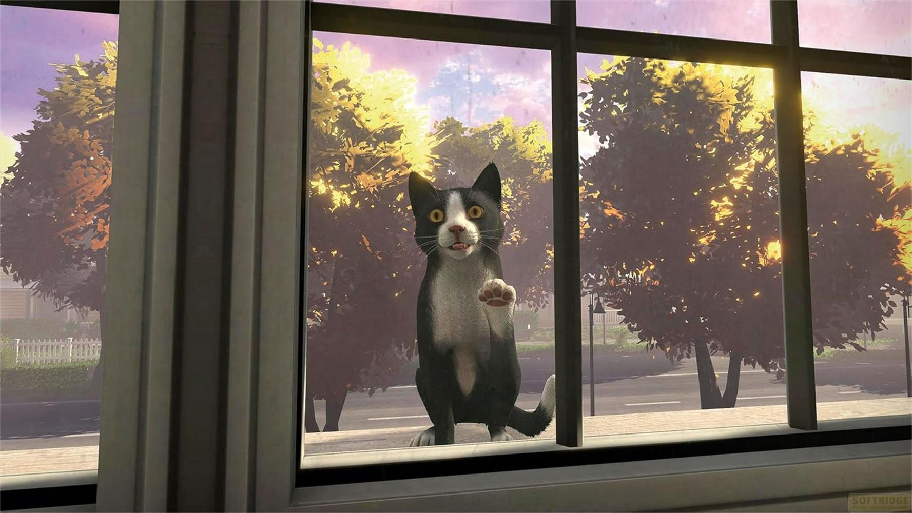 Un gatto bianco e nero guarda da una finestra, alzando una zampa.