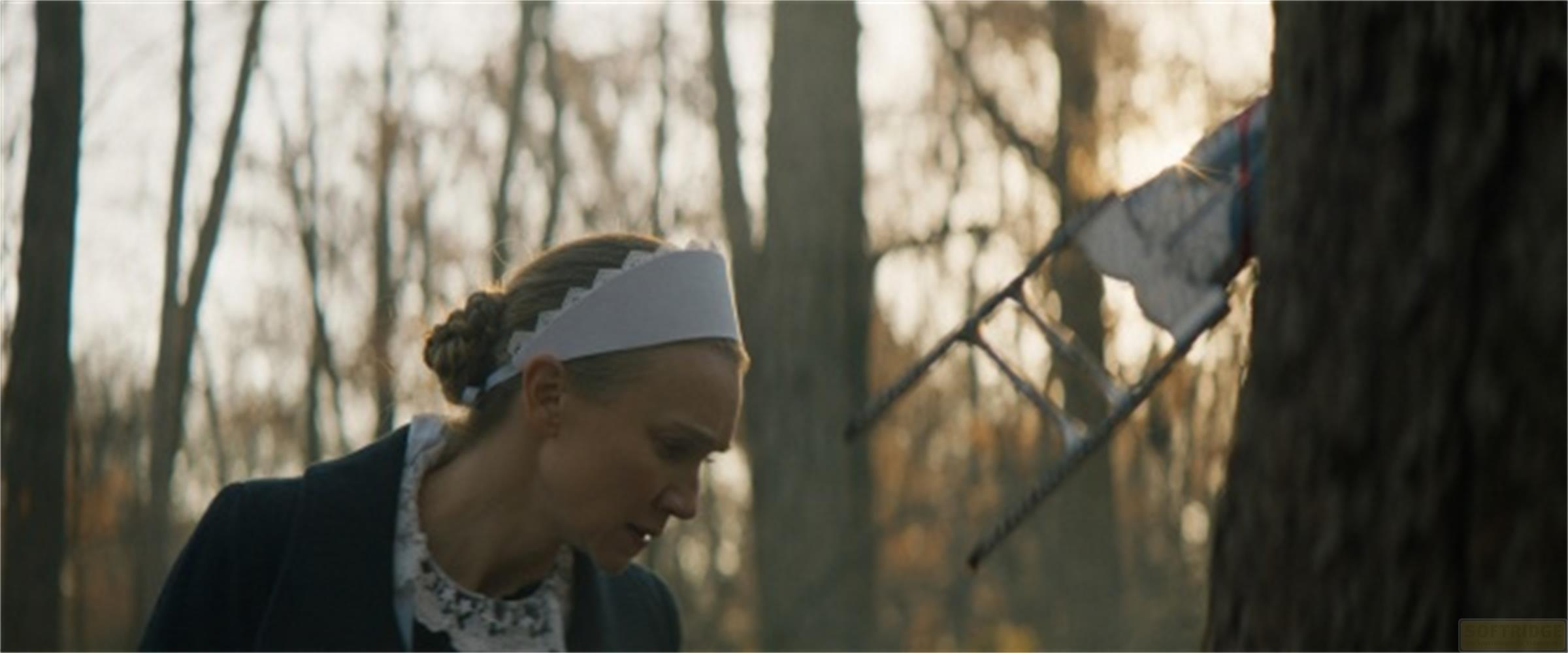 Frau mit weißer Haube im Wald, Leiter am Baum.
