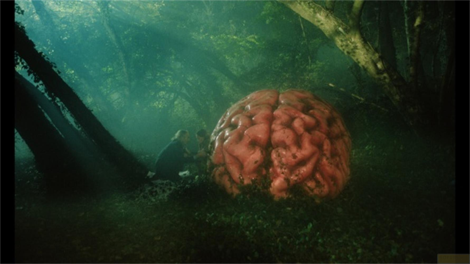 Un cervello gigante giace nella foresta, due persone sedute accanto.