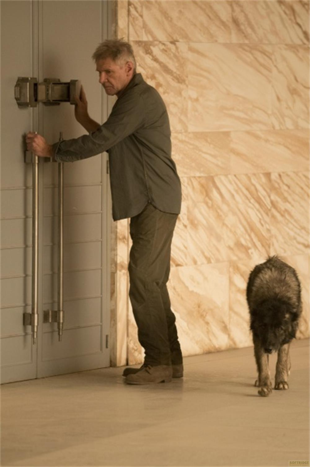 Un uomo apre una porta, un cane è accanto.