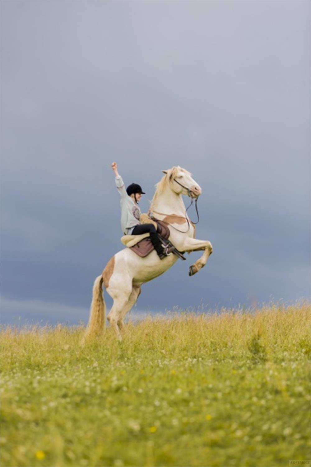 Una cavaliere su un cavallo bianco nell'erba, il cavallo si impenna sulle zampe posteriori.
