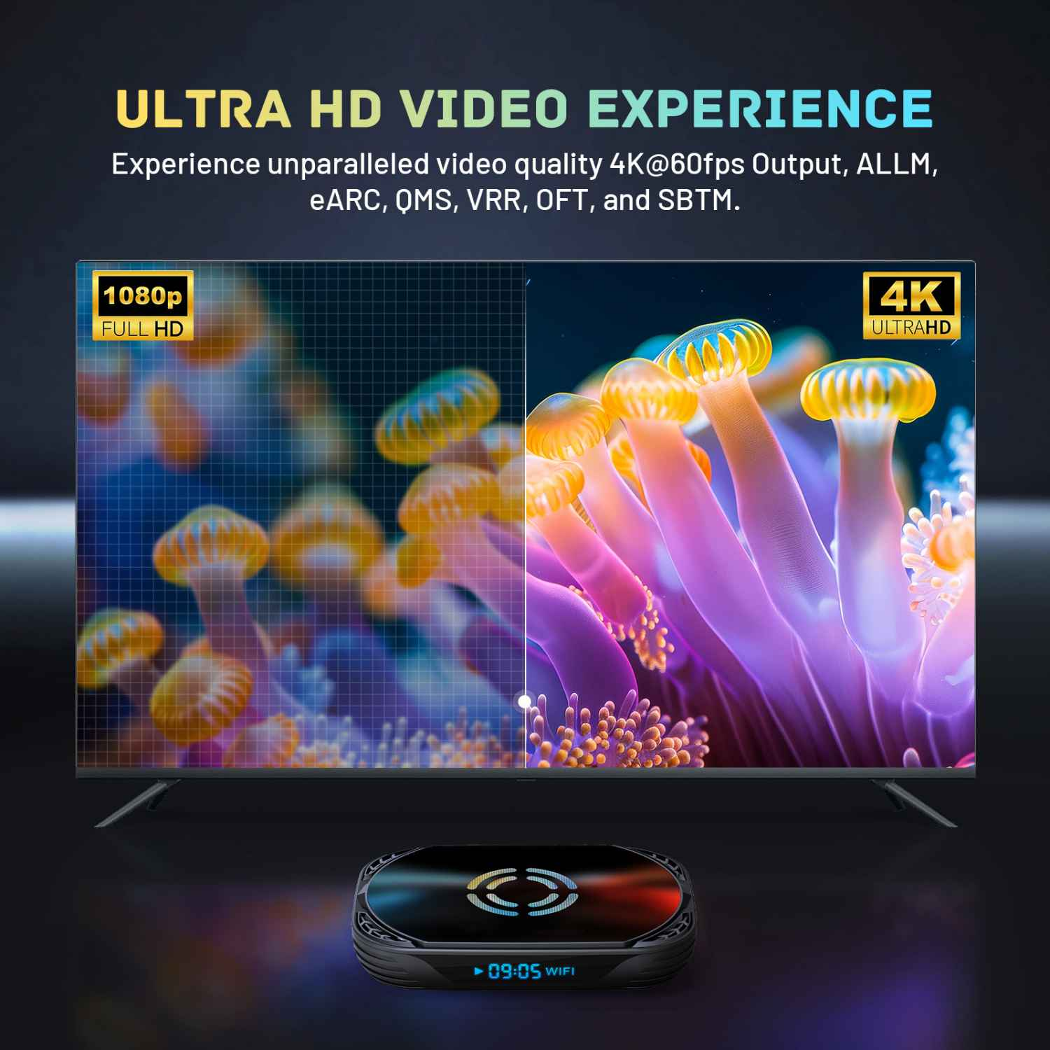 Ein Fernseher zeigt einen Vergleich von 1080p Full HD und 4K Ultra HD mit Unterwasser-Motiv.