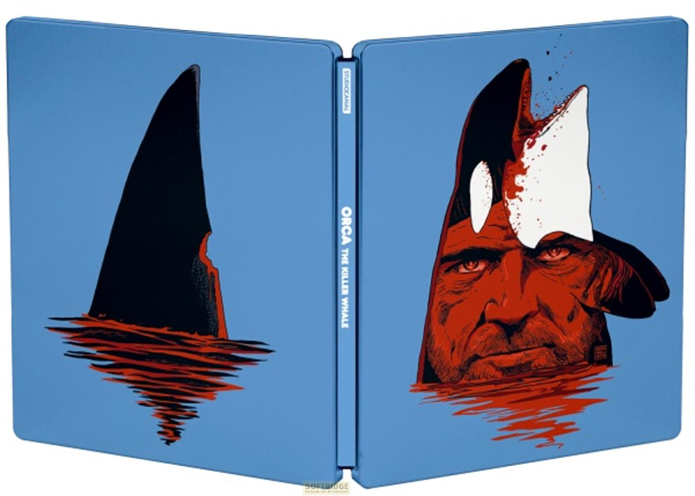 Ein Buchcover mit einem Mann, der aus dem Wasser schaut, und einer Haifischflosse.
