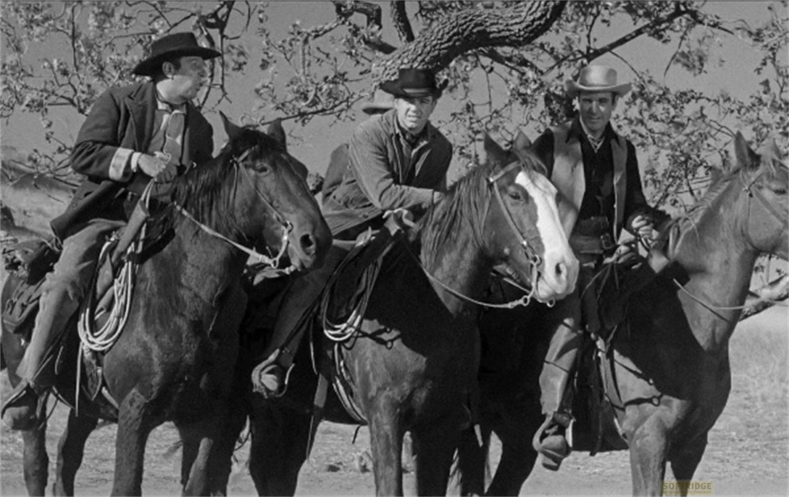 Tre uomini a cavallo in abiti western cavalcano insieme all'aperto.