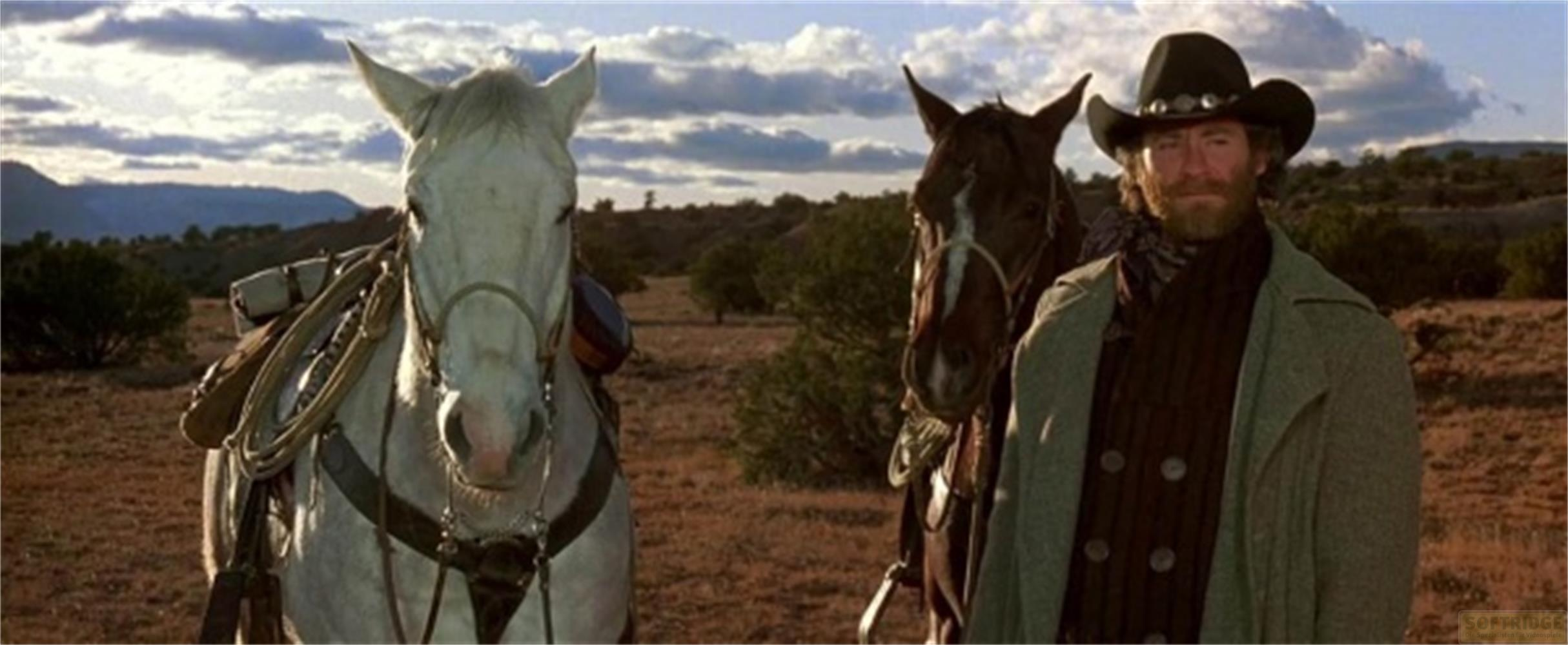 Un cowboy con cappello e gilet sta accanto a un cavallo bianco e un cavallo marrone.