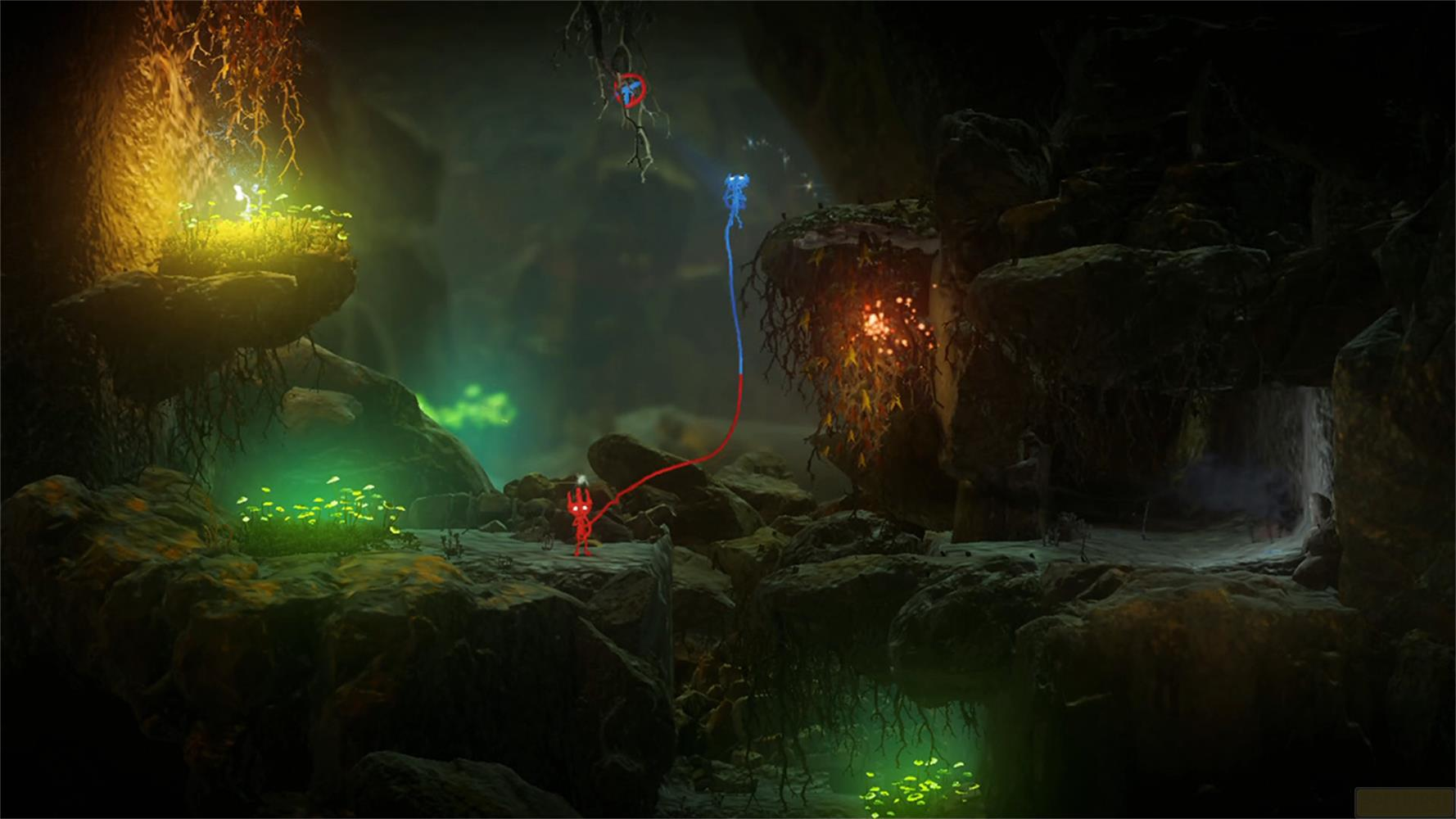 Deux créatures, rouge et bleue, reliées par des lignes dans une grotte sombre avec des plantes lumineuses.