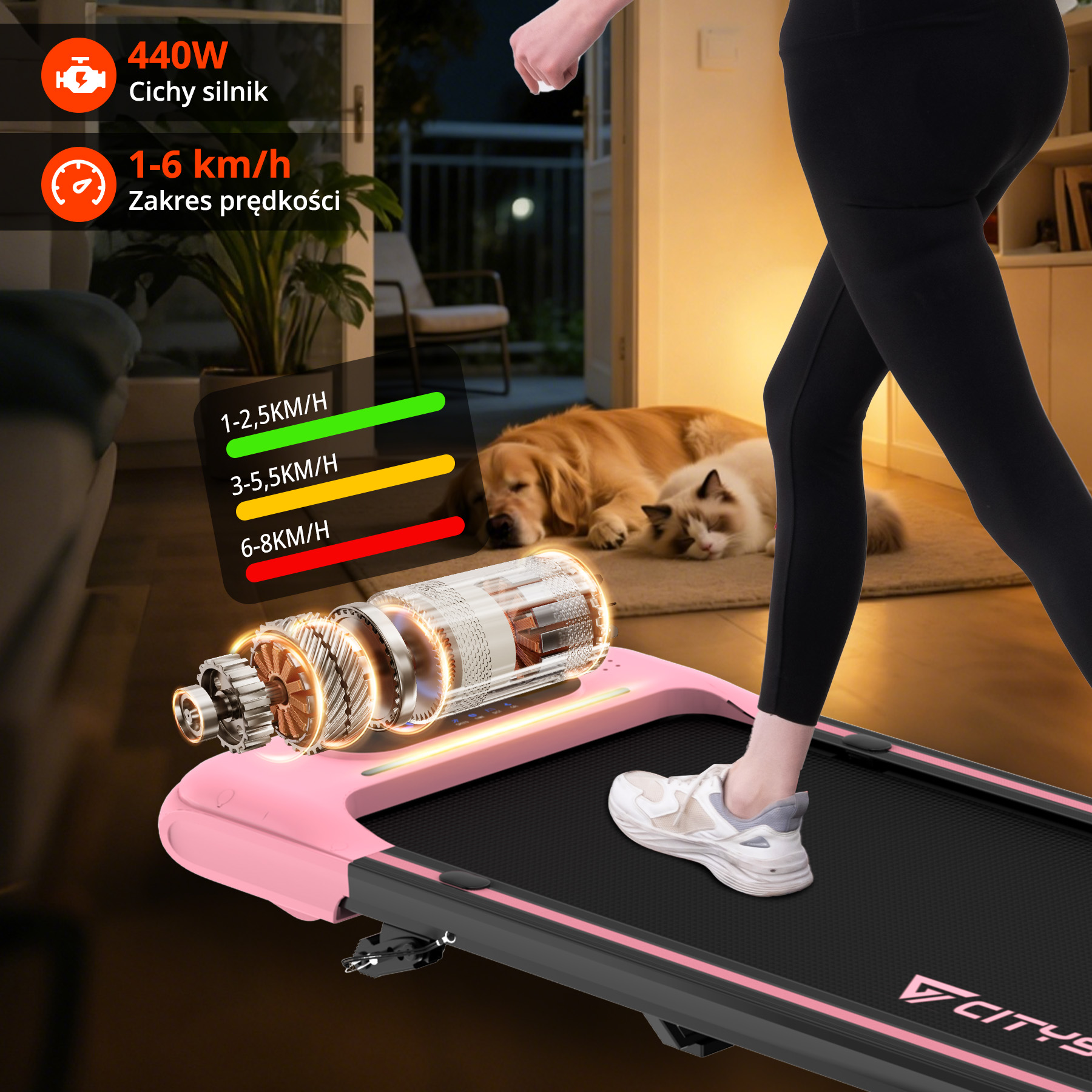 Osoba chodzi na różowej bieżni, psy odpoczywają w tle.