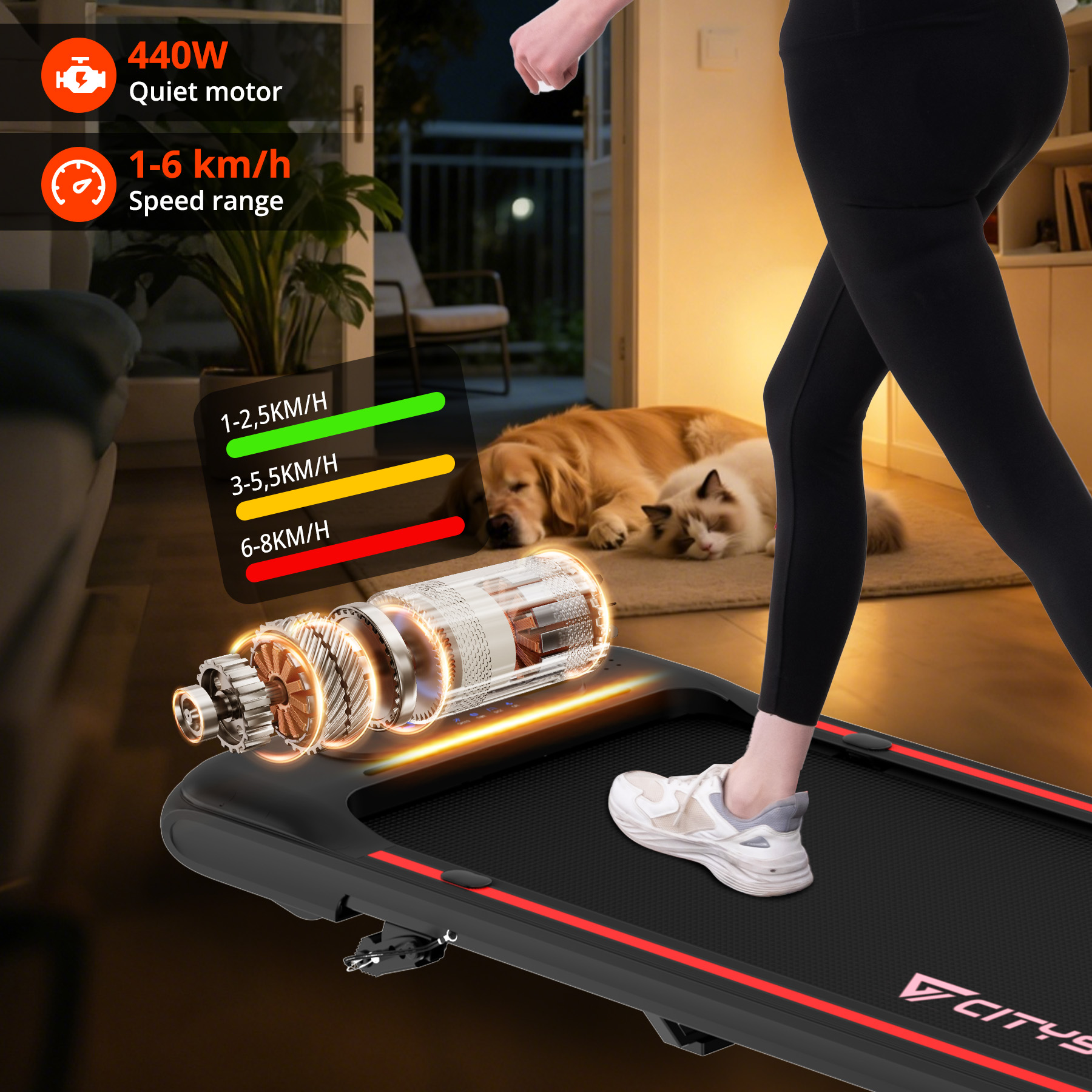 A person exercises on a treadmill, with two dogs resting in the background.
