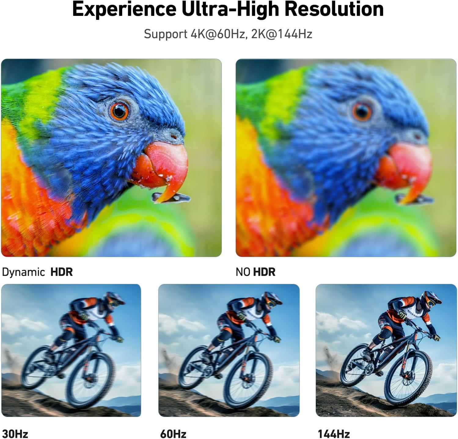 Zwei Bilder eines Papageis, eines klar (Dynamic HDR), eines unscharf (NO HDR). Darunter drei Bilder eines Bikers bei 30Hz, 60Hz, 144Hz.