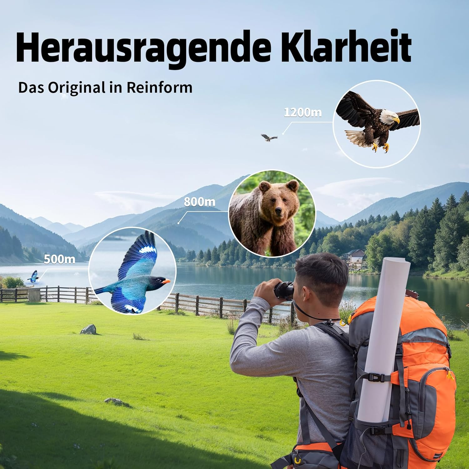 Ein Mann mit Rucksack blickt durch Fernglas auf See; Bär, Adler, Vögel angezeigt.
