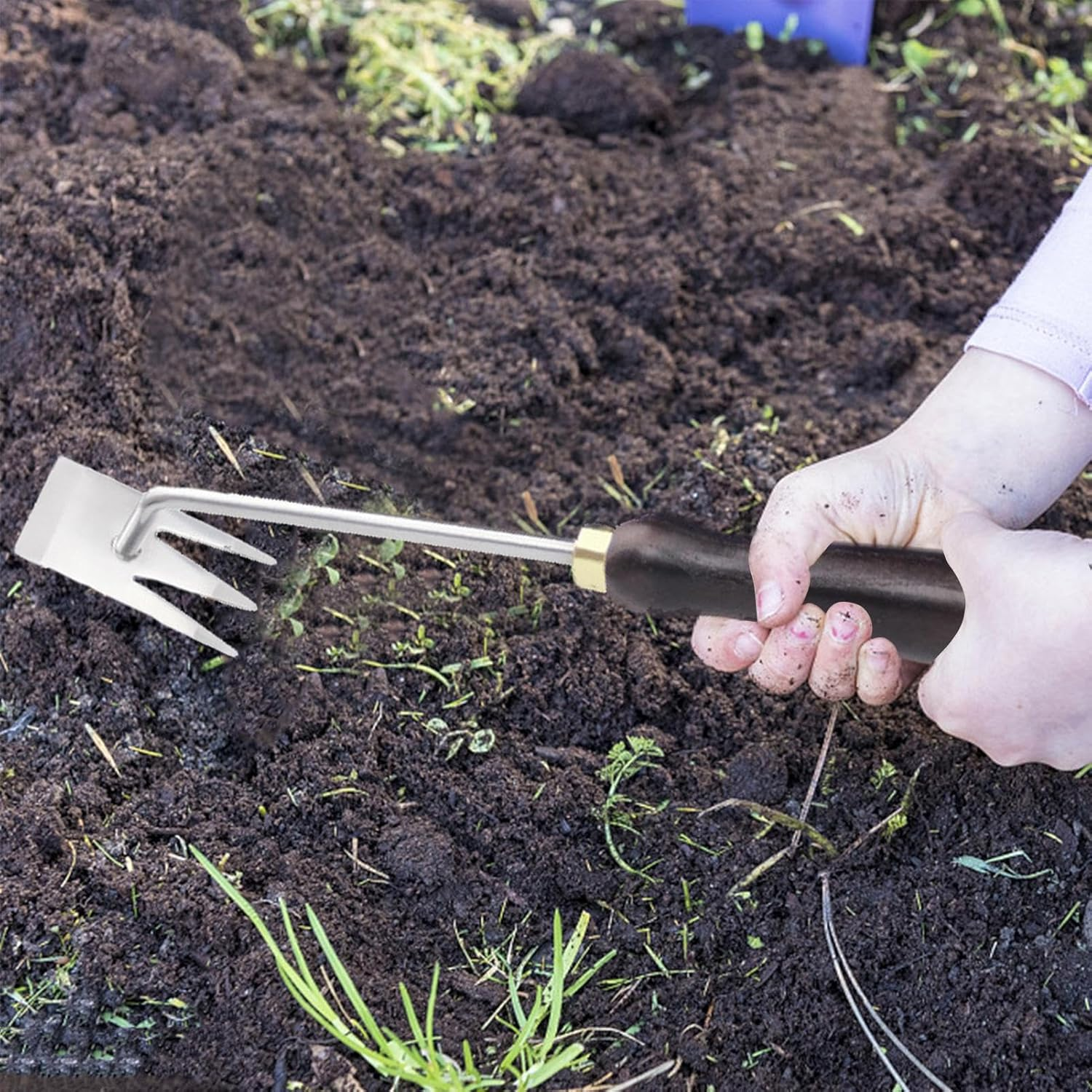 Eine Hand benutzt eine Gartenkralle mit Holzgriff, um die Erde zu lockern.