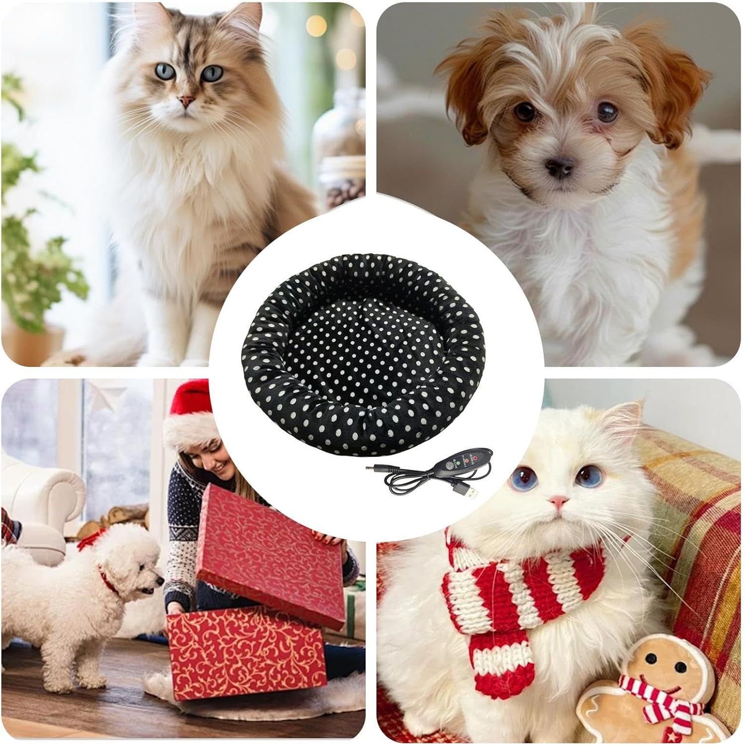 Collage: flauschige Katze, Welpe, Person mit Hund & Geschenken, Katze mit Schal & Keks.
