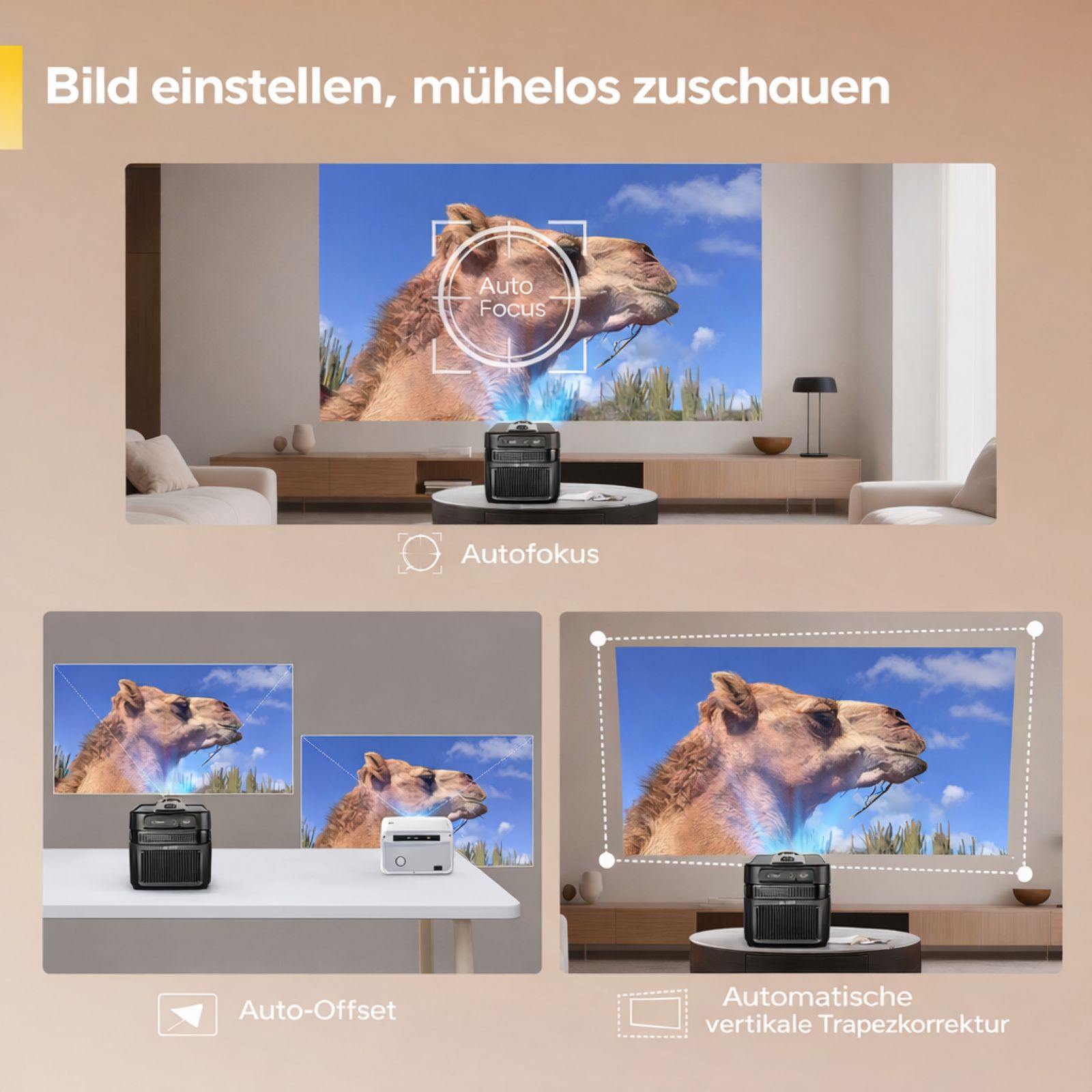 Ein Projektor zeigt ein Kamel im Profil auf einem blauen Himmel.