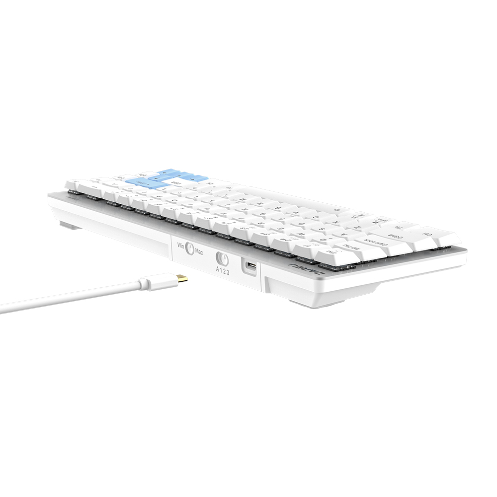 Mavi tuşlu beyaz klavye ve USB-C kablosu.