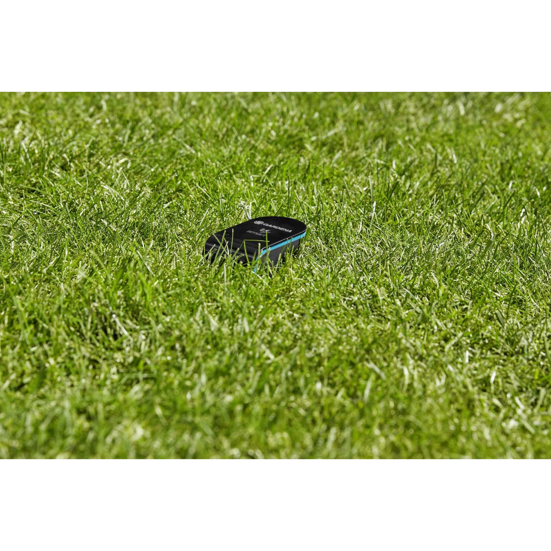 Ein schwarz-blaues Gardena Smart-Gerät ruht auf üppigem grünem Gras.