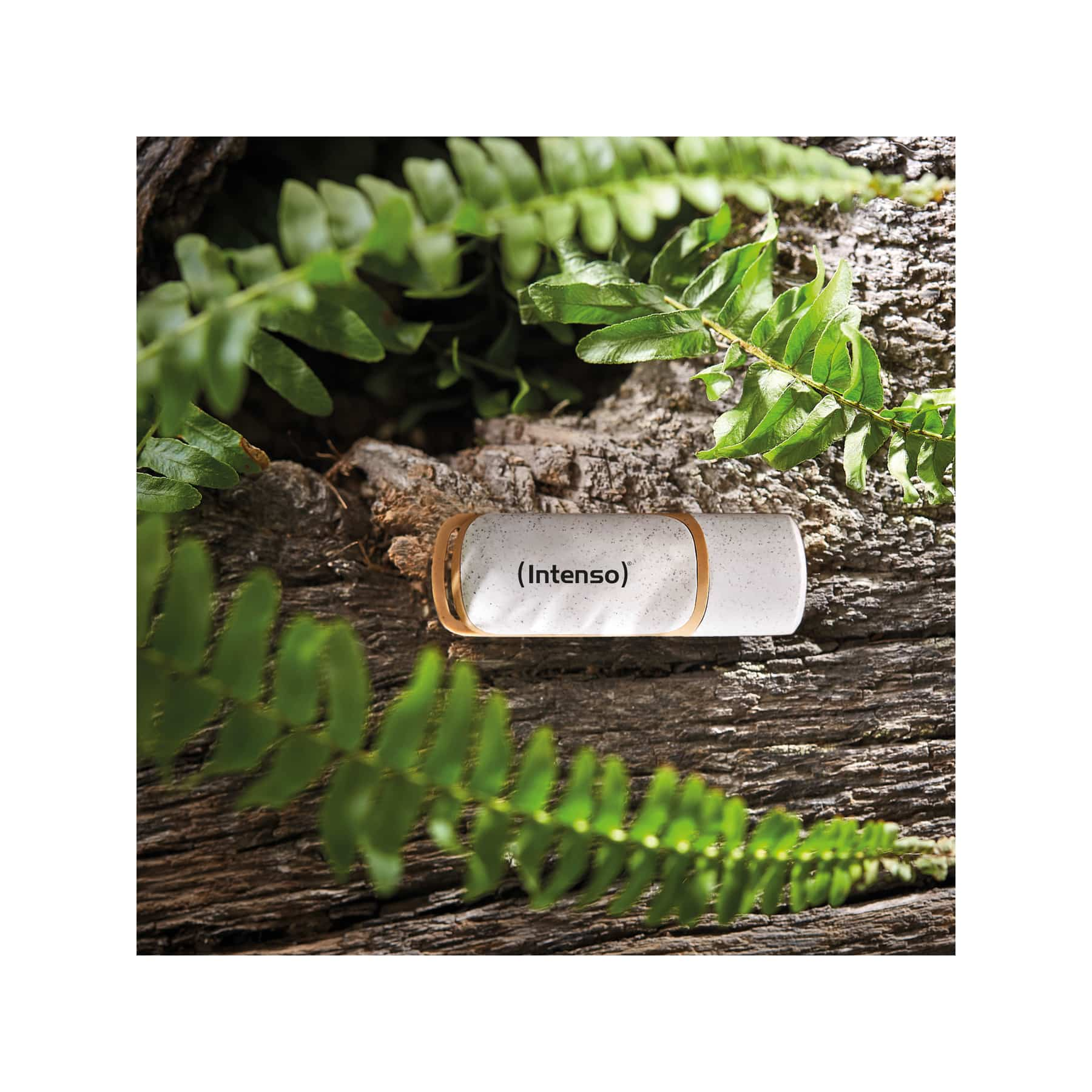Een witte container met "Intenso" erop rust op schors, omringd door varens.