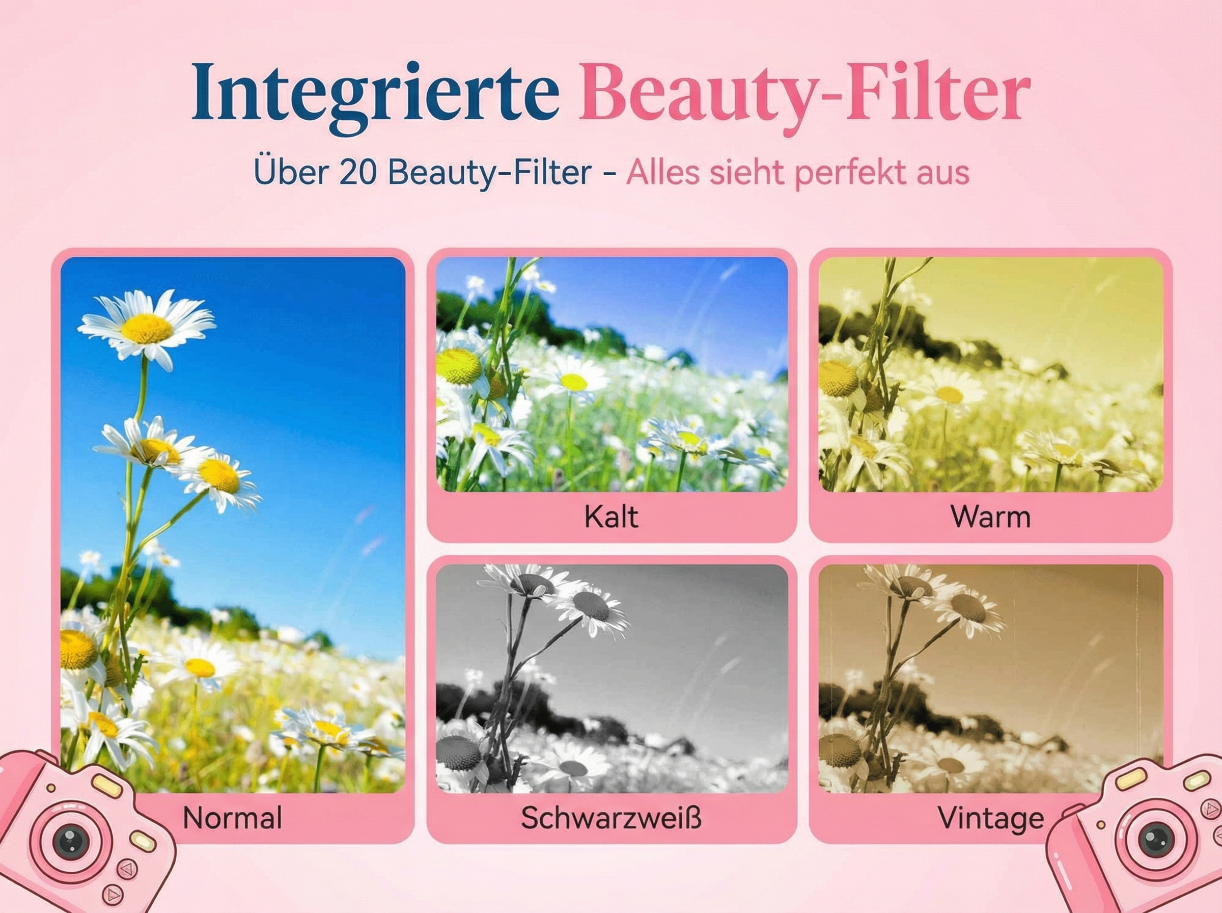 Fünf Bilder von Gänseblümchen mit verschiedenen Filtern wie Kalt, Warm, Normal, Schwarzweiß und Vintage.