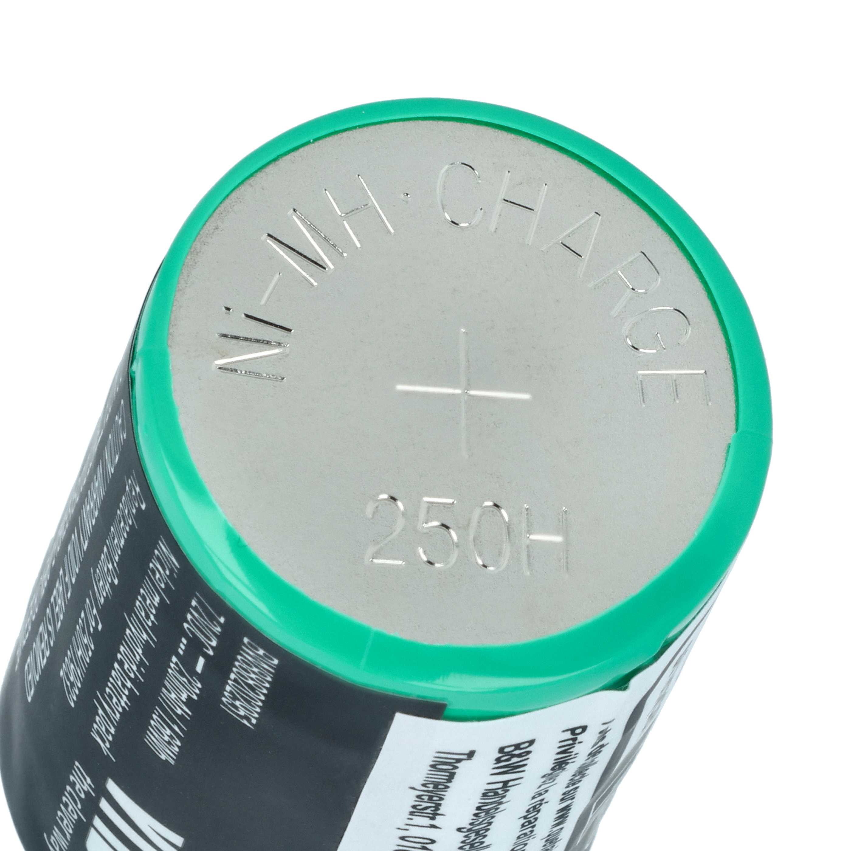 Ni-MH Akku mit 250H Kapazität, grüne Kappe, weiße Schrift.