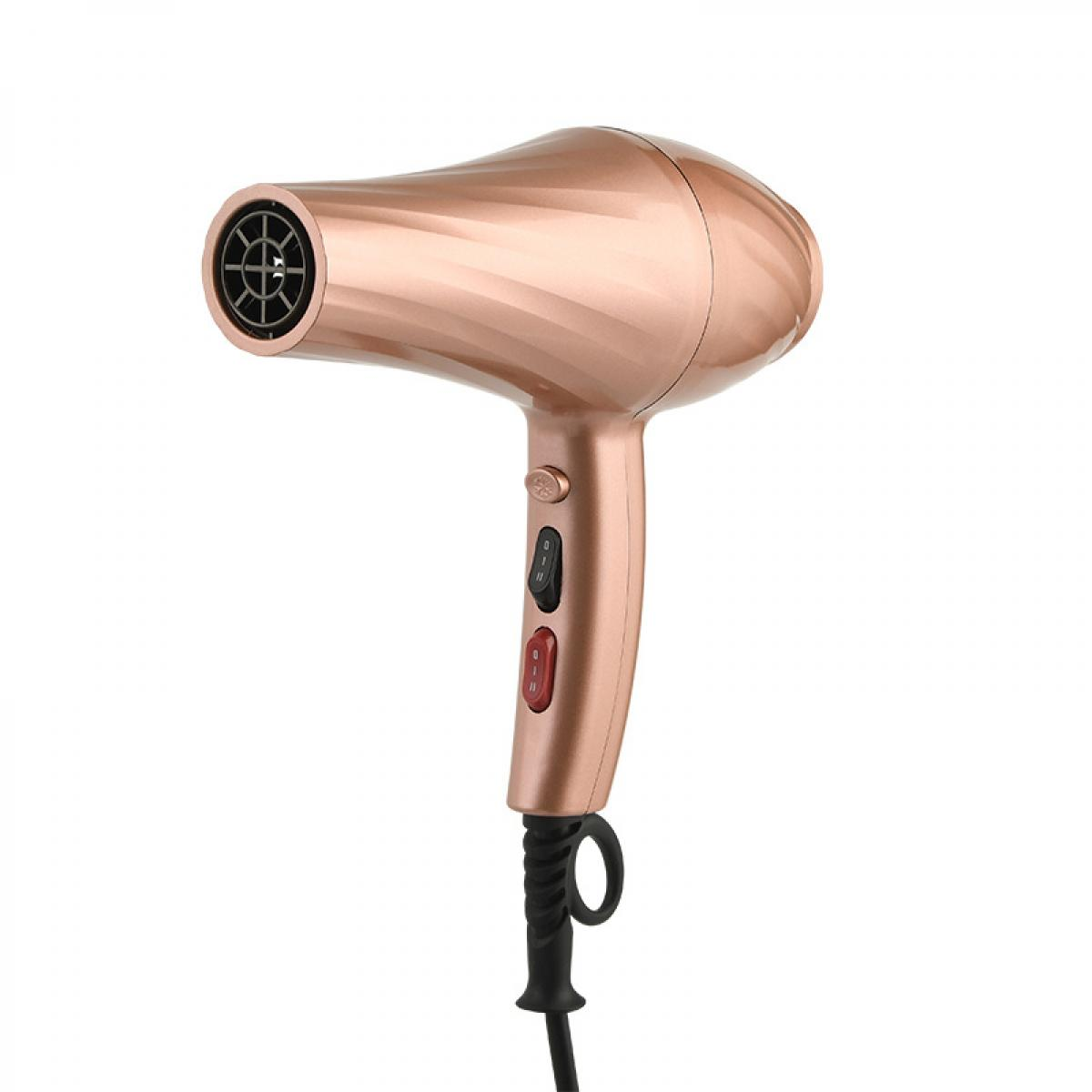 Ein roségoldener Haartrockner mit schwarzem Gitter vorne und Schaltern.